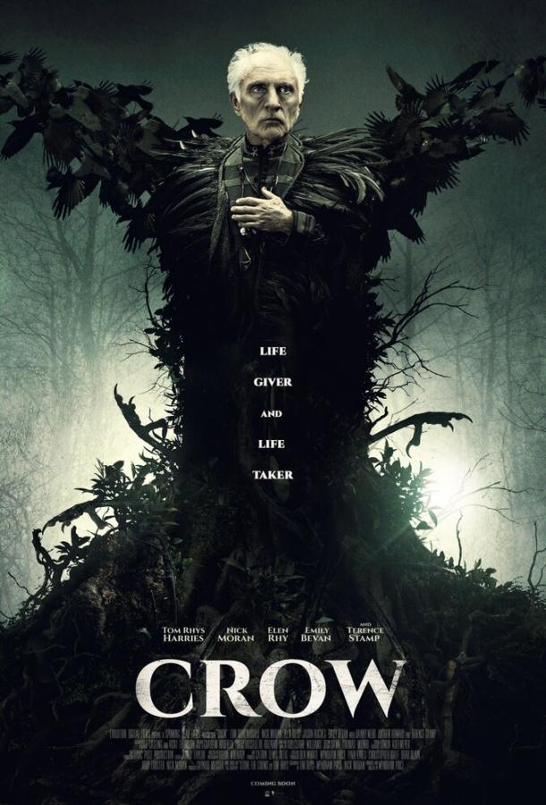Ворон (2016) 