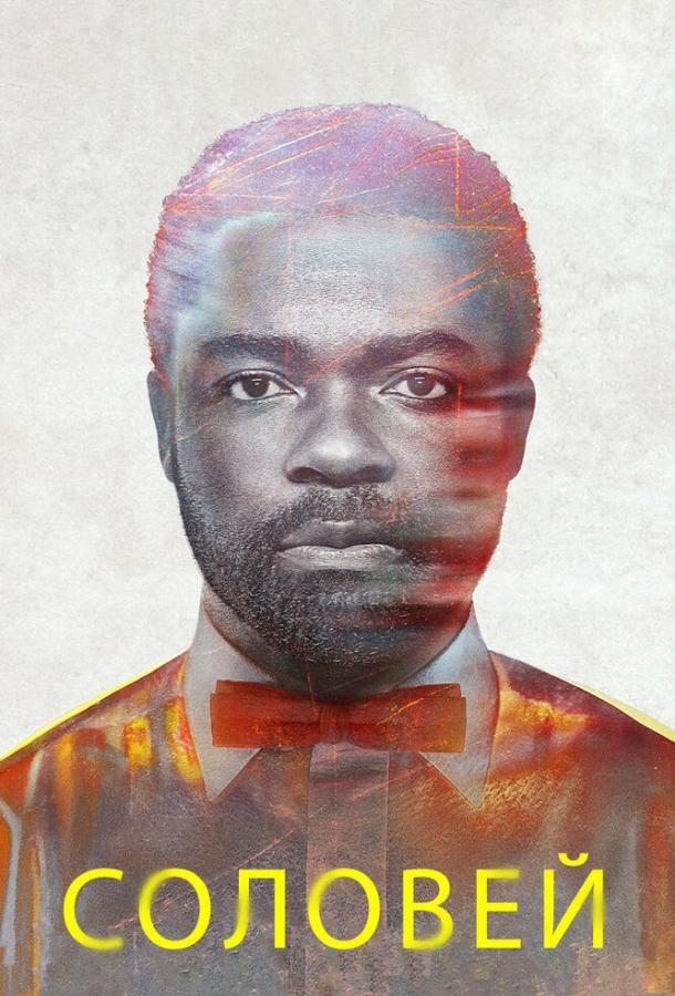 Соловей (2014) 