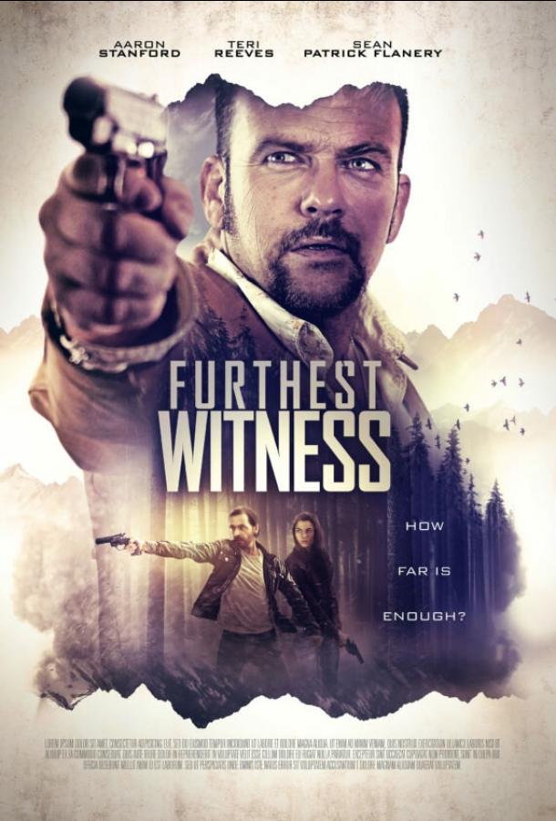 Далекий свидетель (2017) 