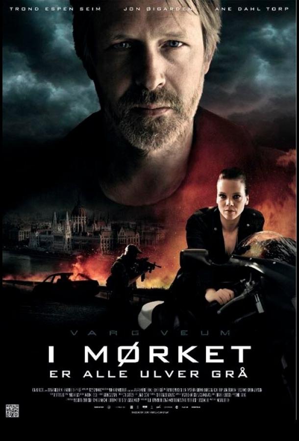 Варг Веум: Ночью все волки серы (2011) 