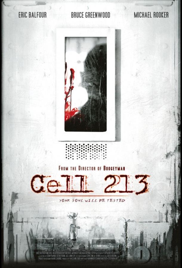 Камера 213 (2011) 