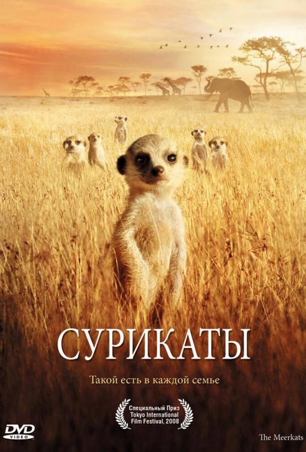 Сурикаты (2007) 