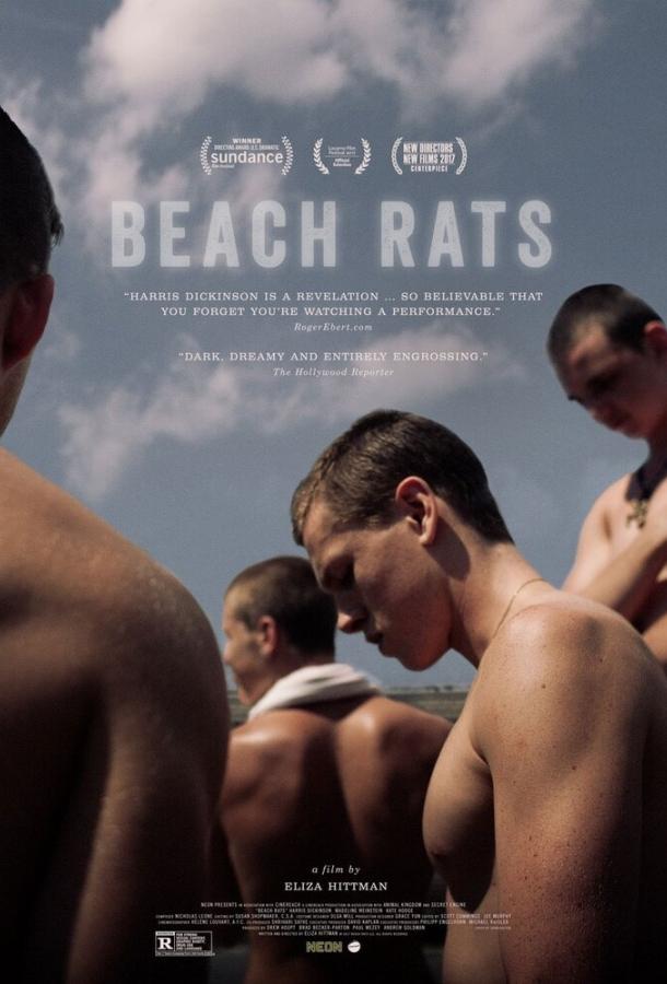 Пляжные крысы (2017) 