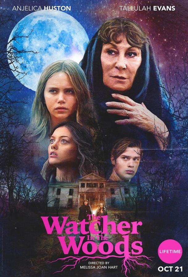 Лесной наблюдатель (2017) 