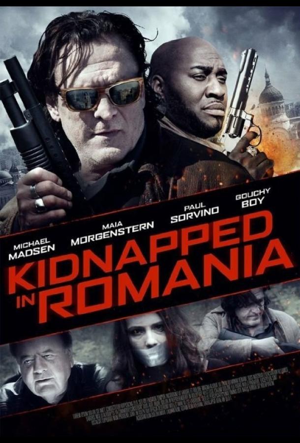 Похищение в Румынии (2016) 