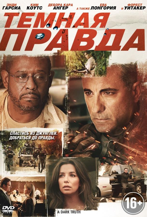 Темная правда (2012) 