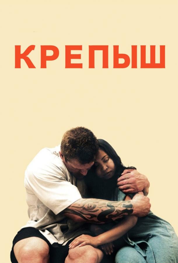 Крепыш (2011) 