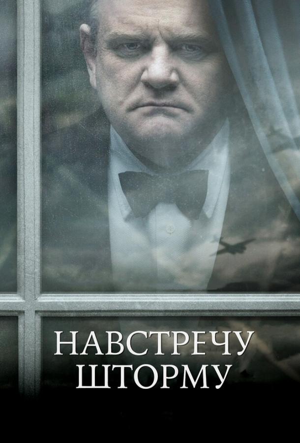 Навстречу шторму (2009) 