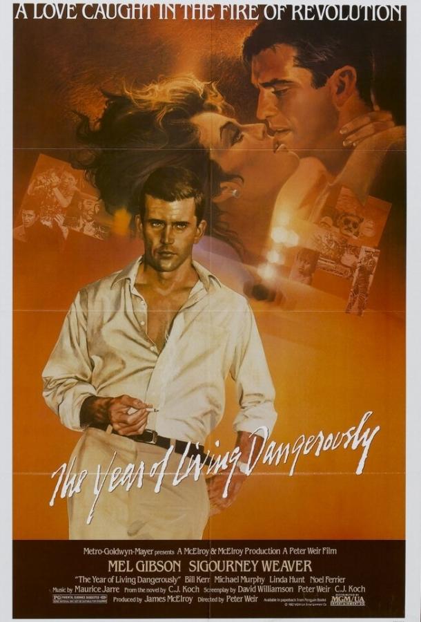 Год, опасный для жизни (1982) 