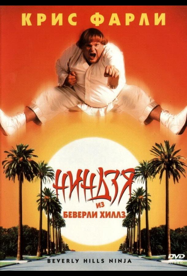 Ниндзя из Беверли Хиллз (1997) 