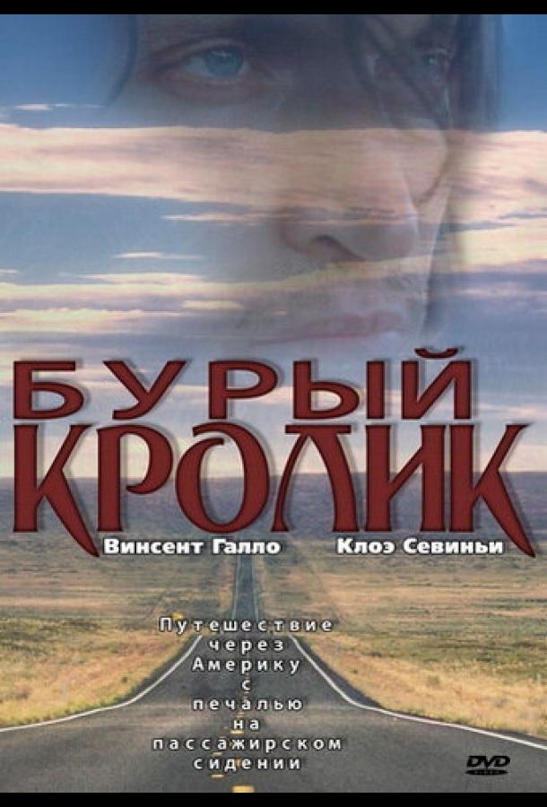 Бурый кролик (2003) 