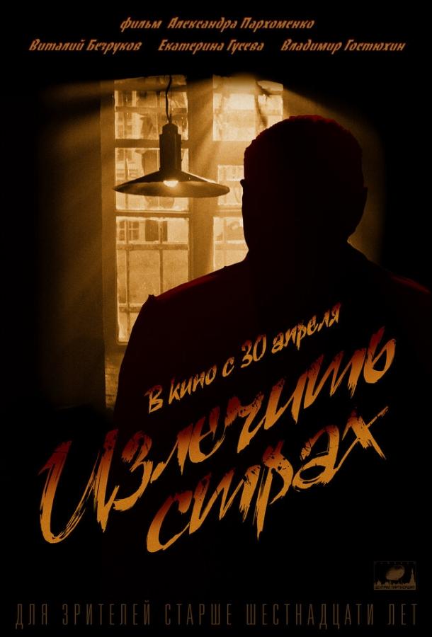 Излечить страх (2013) 