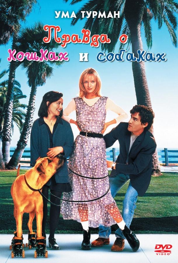 Правда о кошках и собаках (1996) 