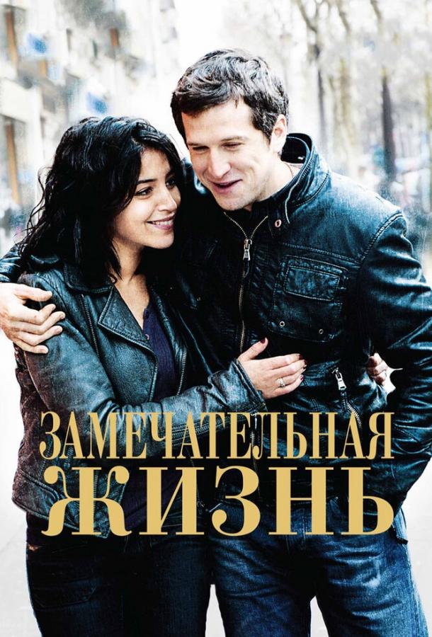 Замечательная жизнь (2011) 
