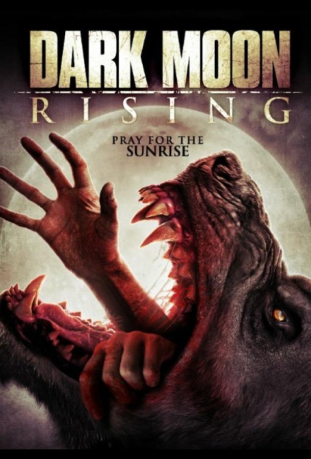 Восход тёмной луны (2015) 