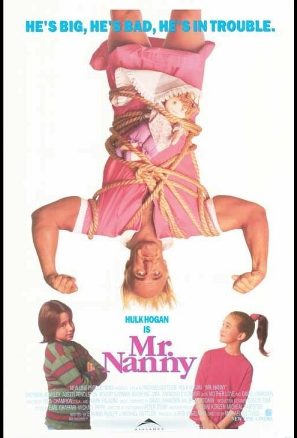 Мистер Няня (1993) 