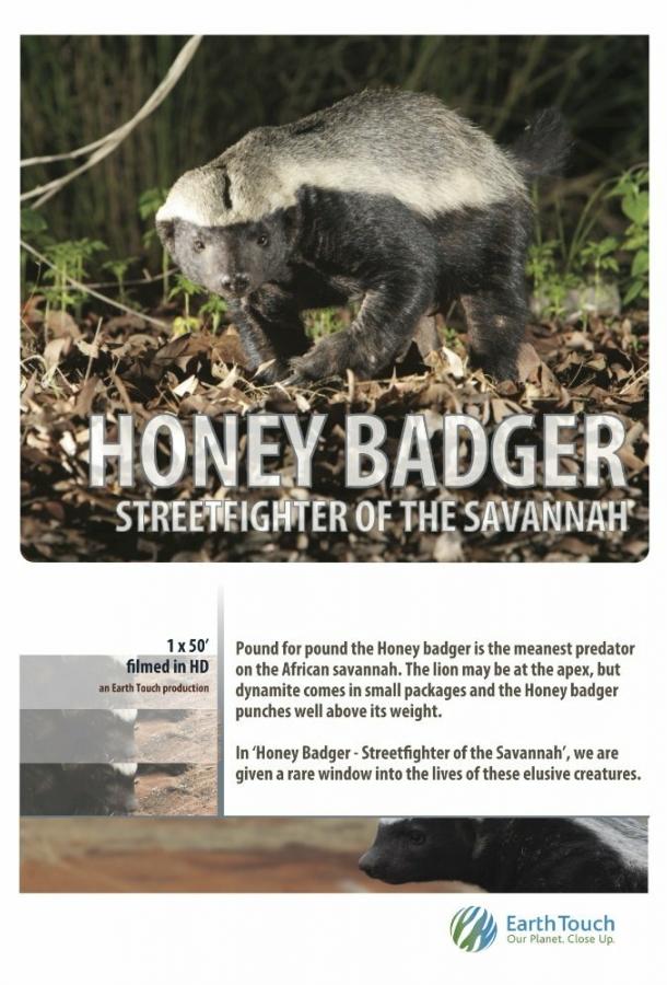 Ultimate Honey Badger