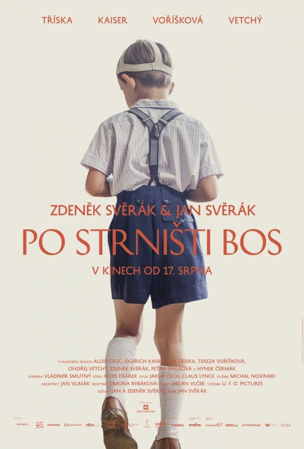 Босиком по стерне (2017) 