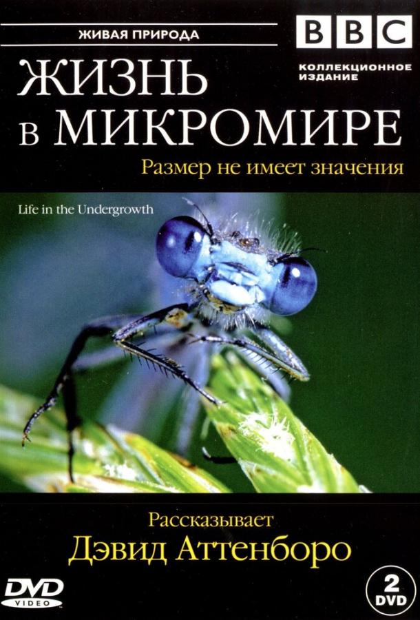 BBC: Жизнь в микромире (2005) 1 сезон 5 серия