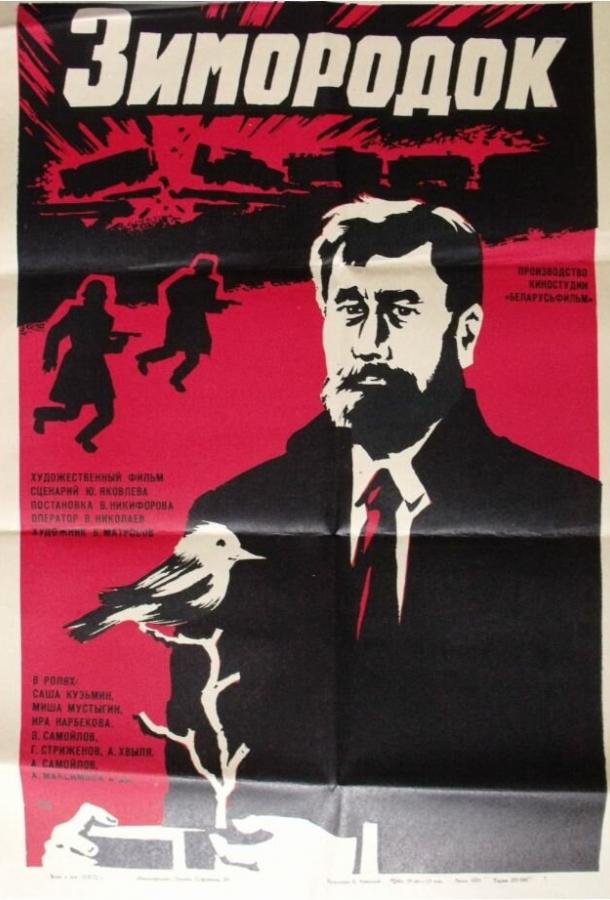 Зимородок (1972) 