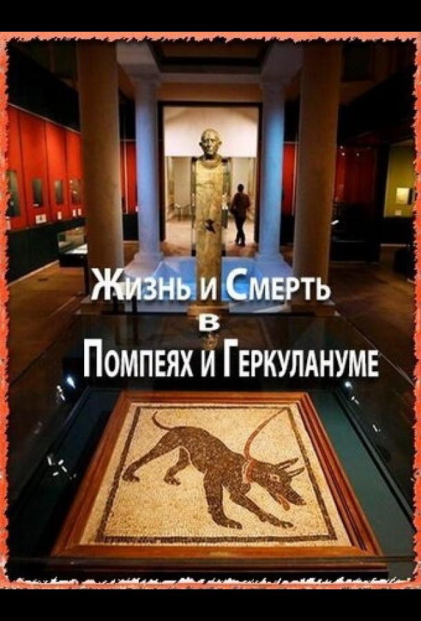 Жизнь и смерть в Помпеях и Геркулануме (2013) 