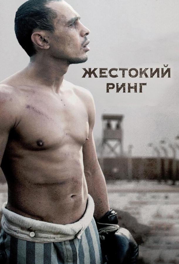 Жестокий ринг (2013) 