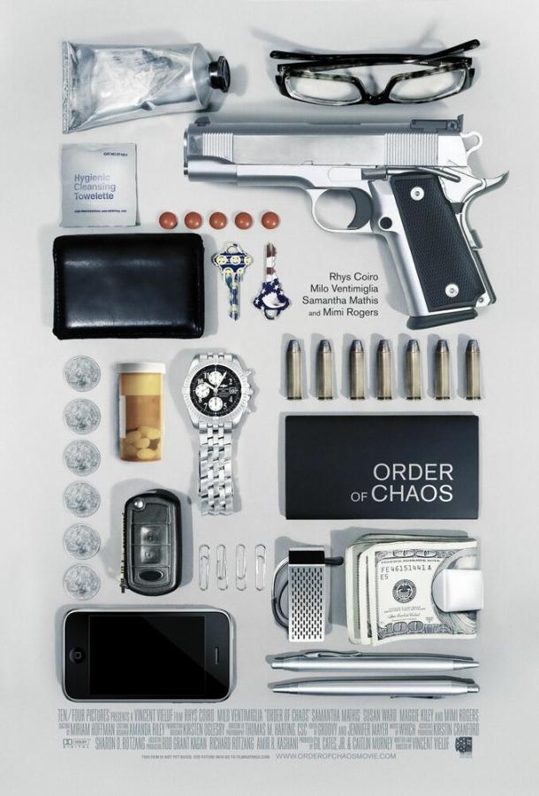 Теория хаоса (2010) 