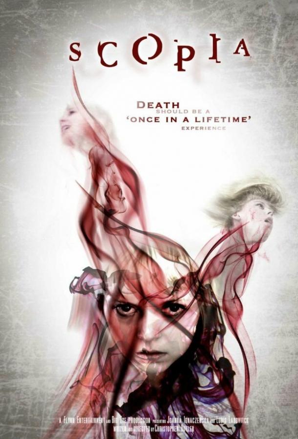 Эффект Скопии (2014) 