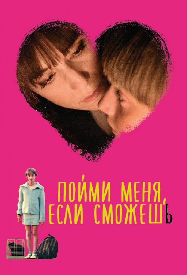 Пойми меня, если сможешь (2014) 