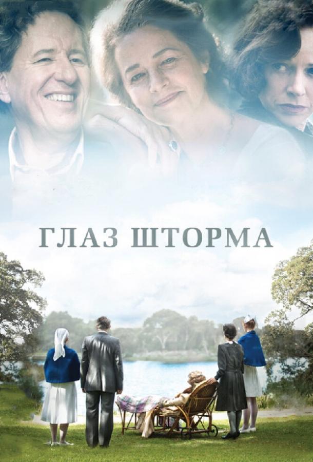 Глаз шторма (2011) 