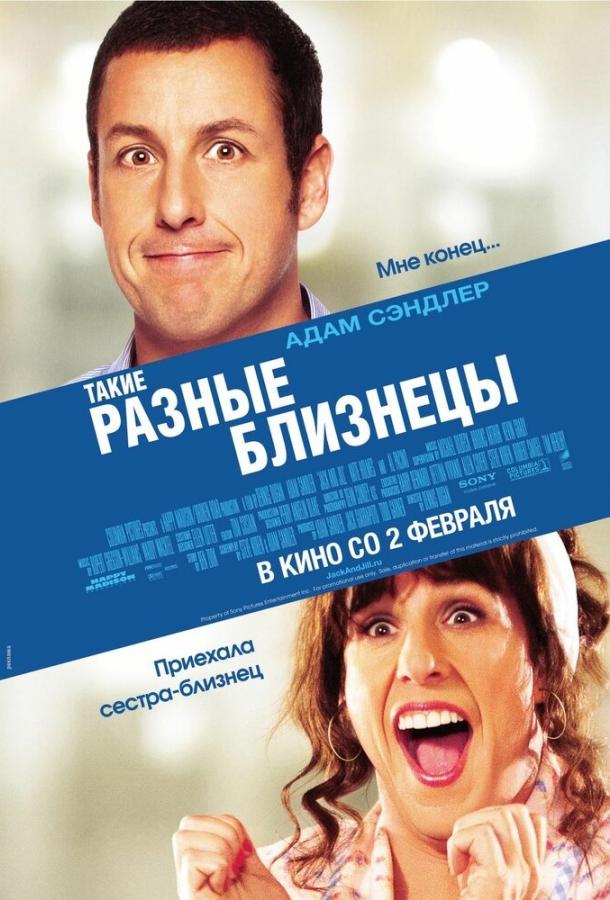 Такие разные близнецы (2011) 
