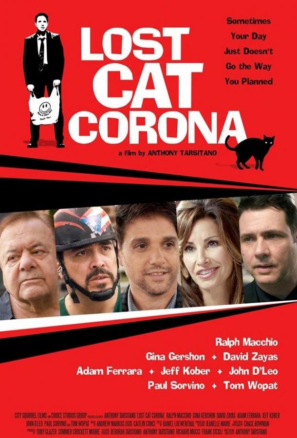 В Короне пропал кот (2017) 