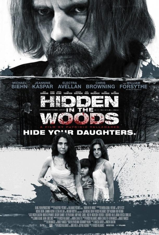 Спрятанный в лесу (2014) 