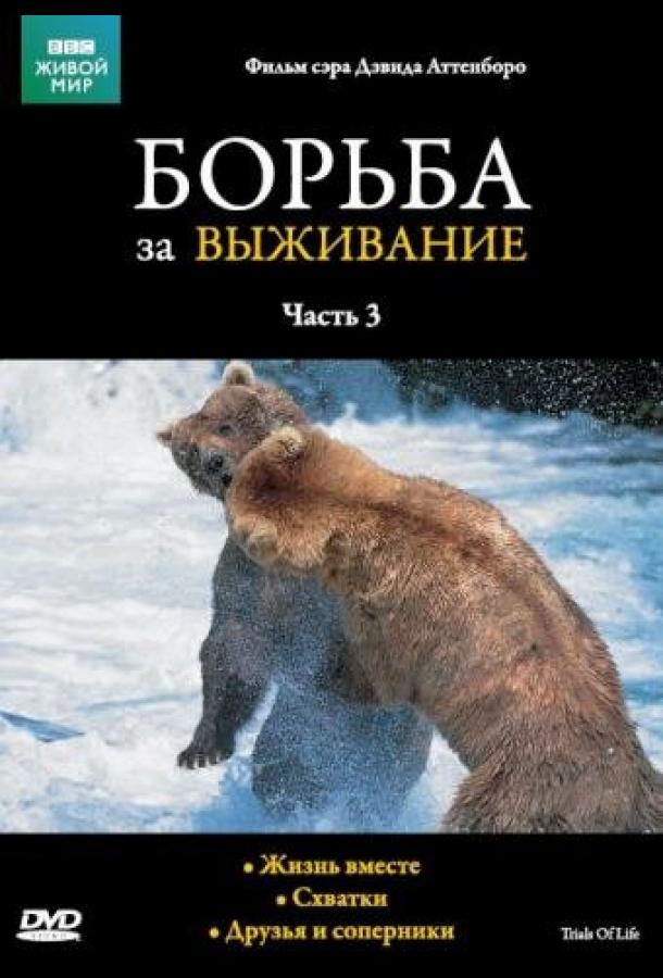 BBC: Борьба за выживание (1990) 1 сезон 12 серия