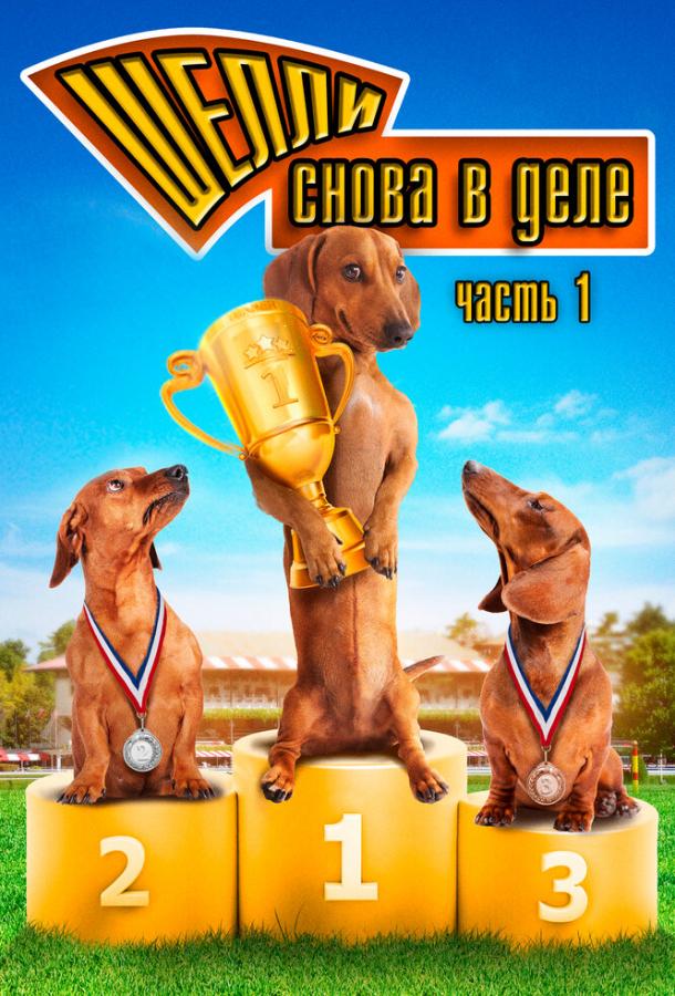 Шелли снова в деле: Часть 1 (2013) 