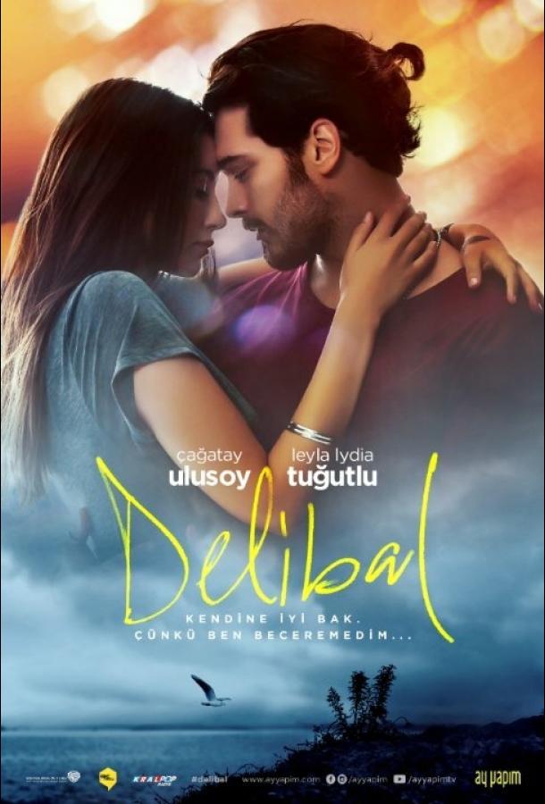Дикий мёд (2015) 