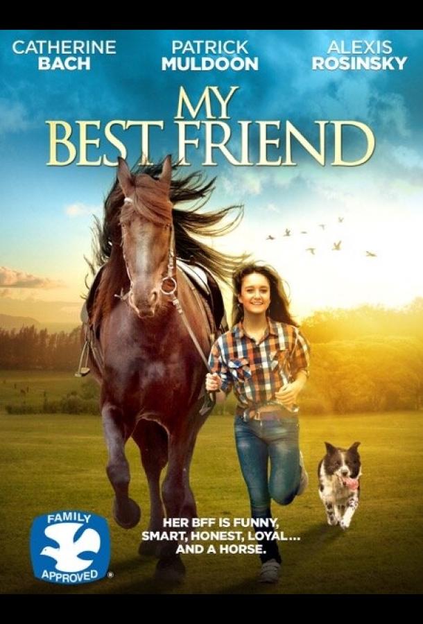 Мой лучший друг (2016) 
