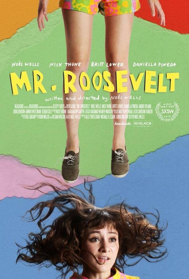 Мистер Рузвельт (2017) 