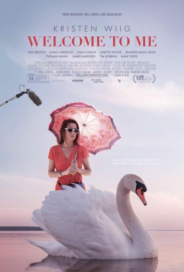 Добро пожаловать ко мне (2014) 