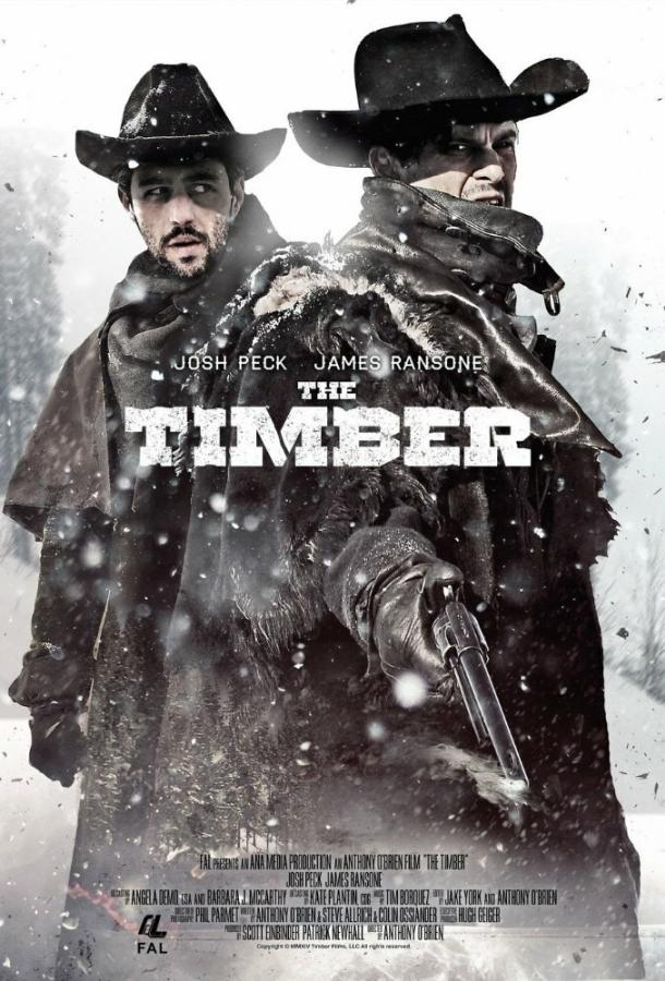 Достоинство (2015) 
