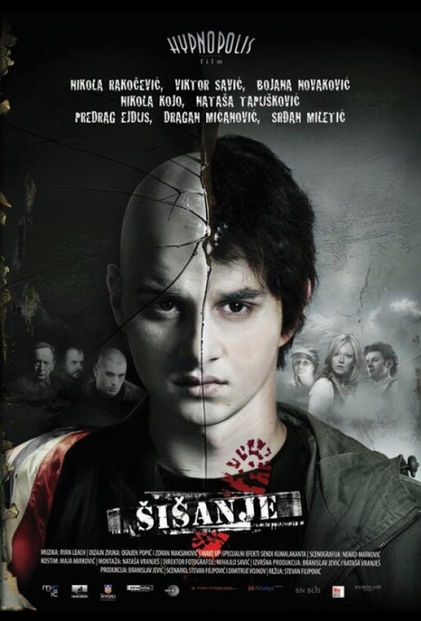 Стрижка (2010) 