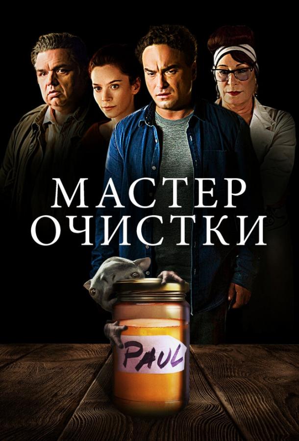 Мастер очистки (2016) 