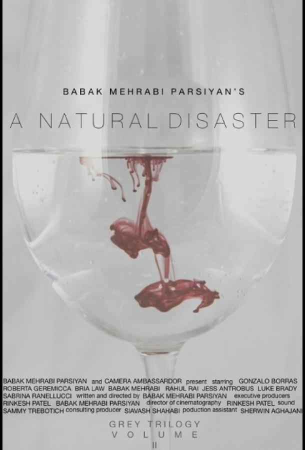 A Natural Disaster (2016) 
