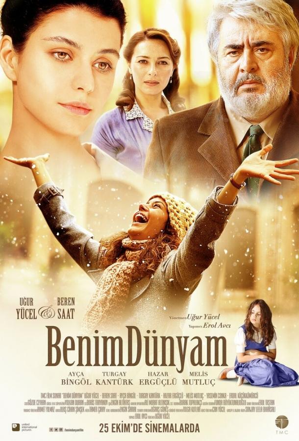 Мой мир (2013) 