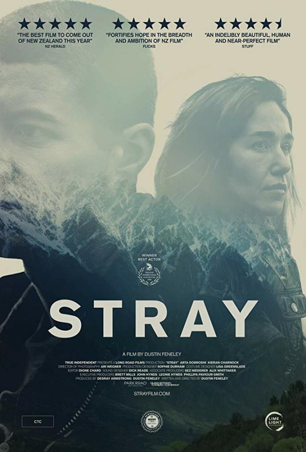 Заблудшие (2018) 