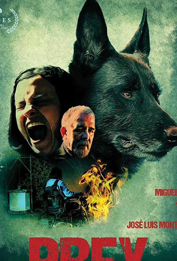 Узы (2019) 