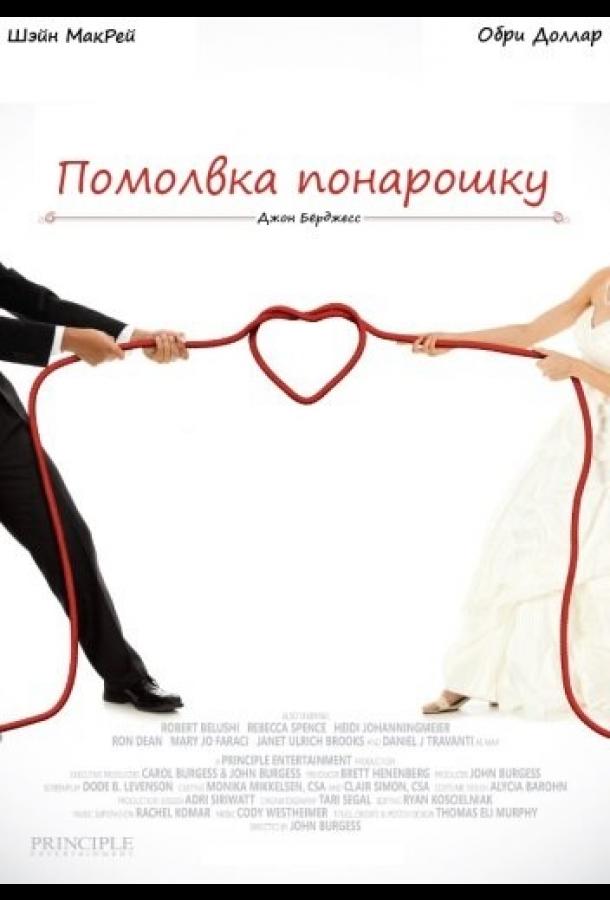 Помолвка понарошку (2013) 