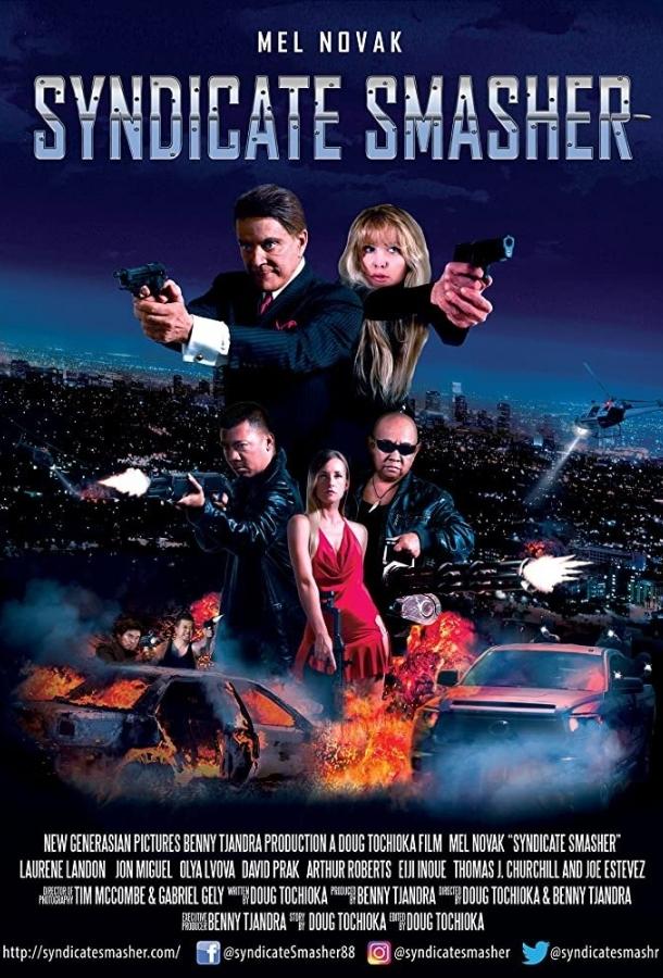 Гроза синдикатов (2017) 