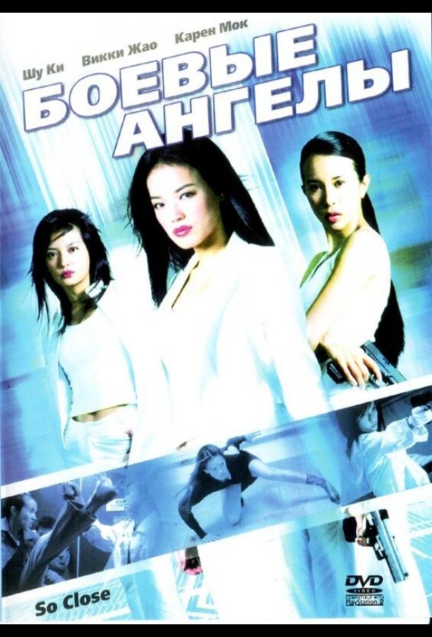 Боевые ангелы (2002) 