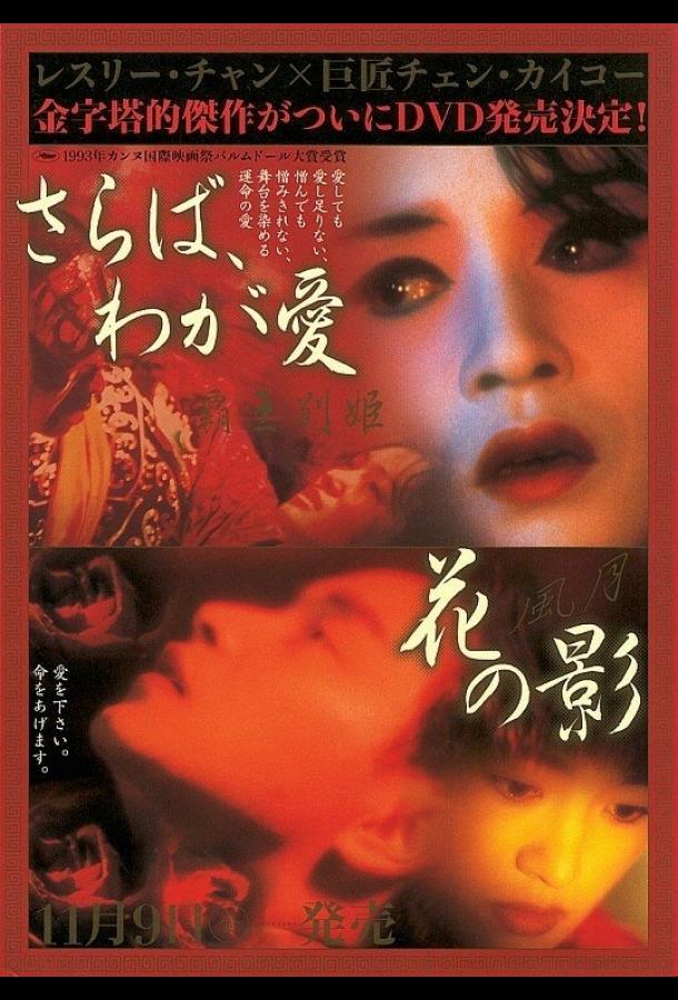 Прощай, моя наложница (1992) 